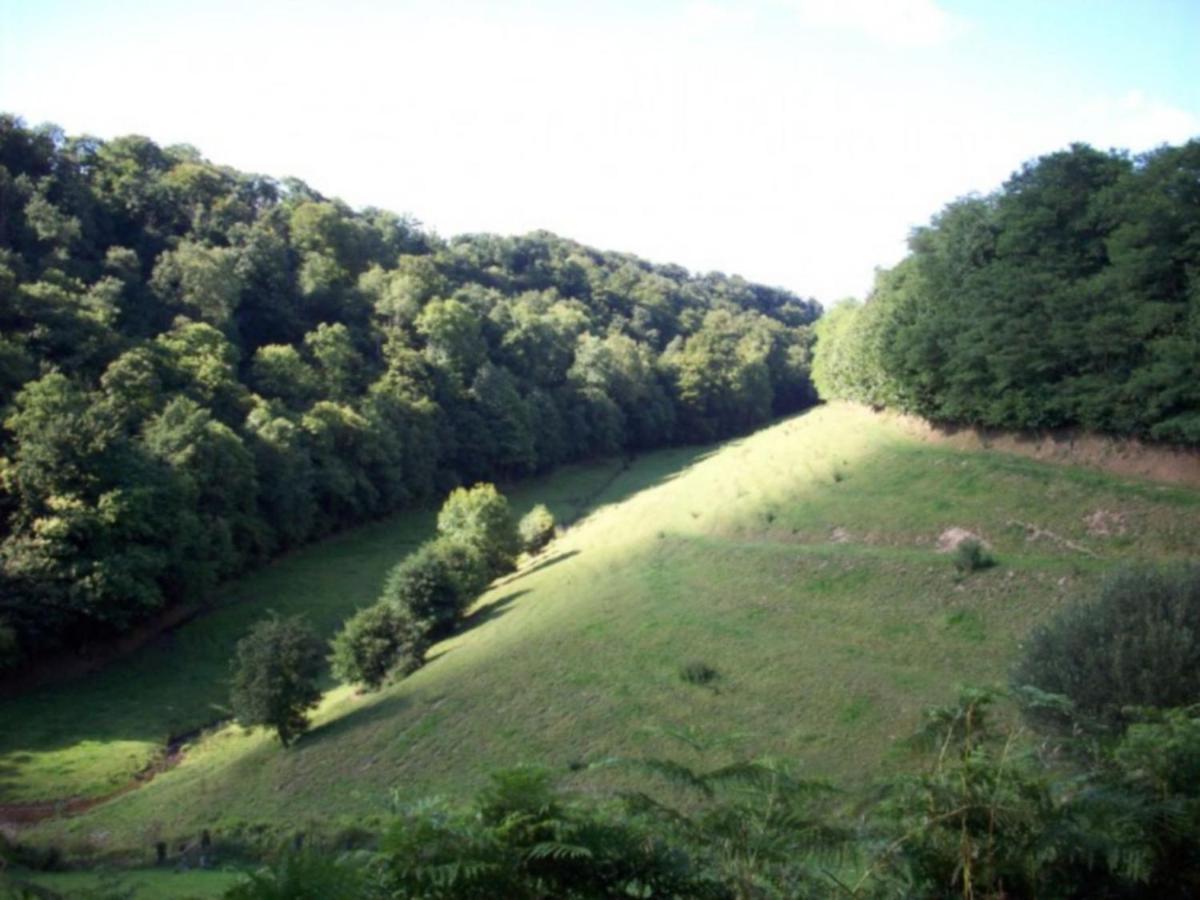 Cosy Chalet With Private Garden In Normandy Isigny-le-Buat Δωμάτιο φωτογραφία
